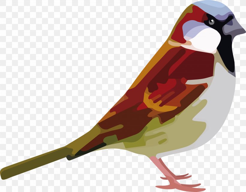 House Sparrow Bird Child Symbol, PNG, 5906x4616px, Sparrow, Beak, Bird, Child, Fauna Download Free