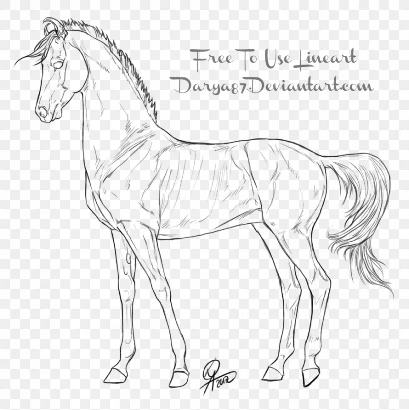 Line Art Foal Drawing Akhal-Teke Mule, PNG, 892x895px, Line Art, Akhalteke, Animal Figure, Art, Artwork Download Free