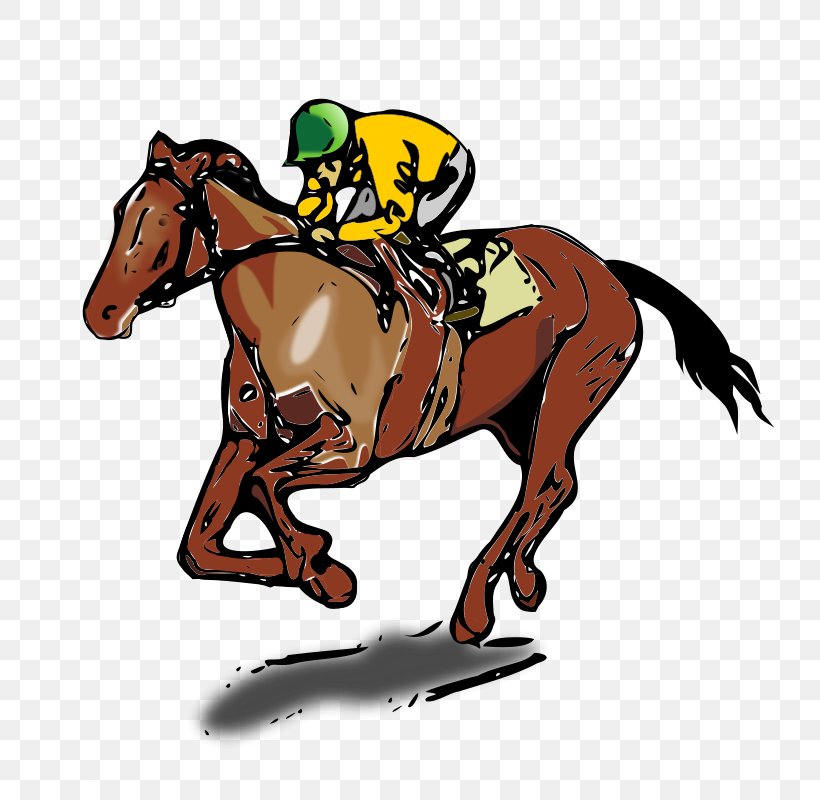 Thoroughbred Jockey Horse Racing Equestrianism Clip Art, PNG, 800x800px, Thoroughbred, Animal Sports, Bridle, Canter And Gallop, Collection Download Free