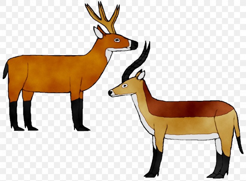 Antelope Moose Deer Mustang Horn, PNG, 1024x754px, Antelope, Animal, Animal Figure, Antler, Bongo Download Free