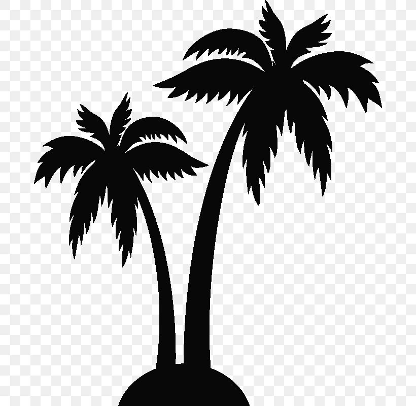 Palm Trees Sticker Wall Decal Clip Art Chez Brahim, PNG, 800x800px ...