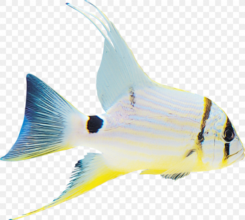 Fish Fish Fin Coral Reef Fish Butterflyfish, PNG, 1600x1437px, Watercolor, Bonyfish, Butterflyfish, Coral Reef Fish, Fin Download Free