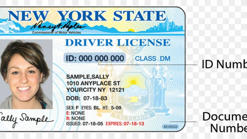 New York Identity Document Driver's License Department Of Motor Vehicles Driving, PNG, 1600x900px, New York, Brand, Department Of Motor Vehicles, Document, Driving Download Free