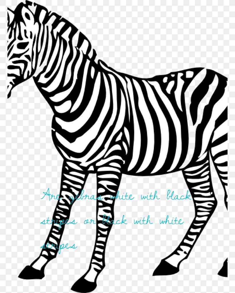 Baby Zebra Coloring Book Animal, PNG, 768x1024px, Baby Zebra, Adult, Animal, Animal Figure, Animal Print Download Free