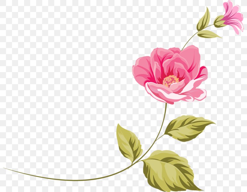Floral Design Flower Clip Art, PNG, 800x639px, Floral Design, Blossom, Cut Flowers, Floristry, Flower Download Free