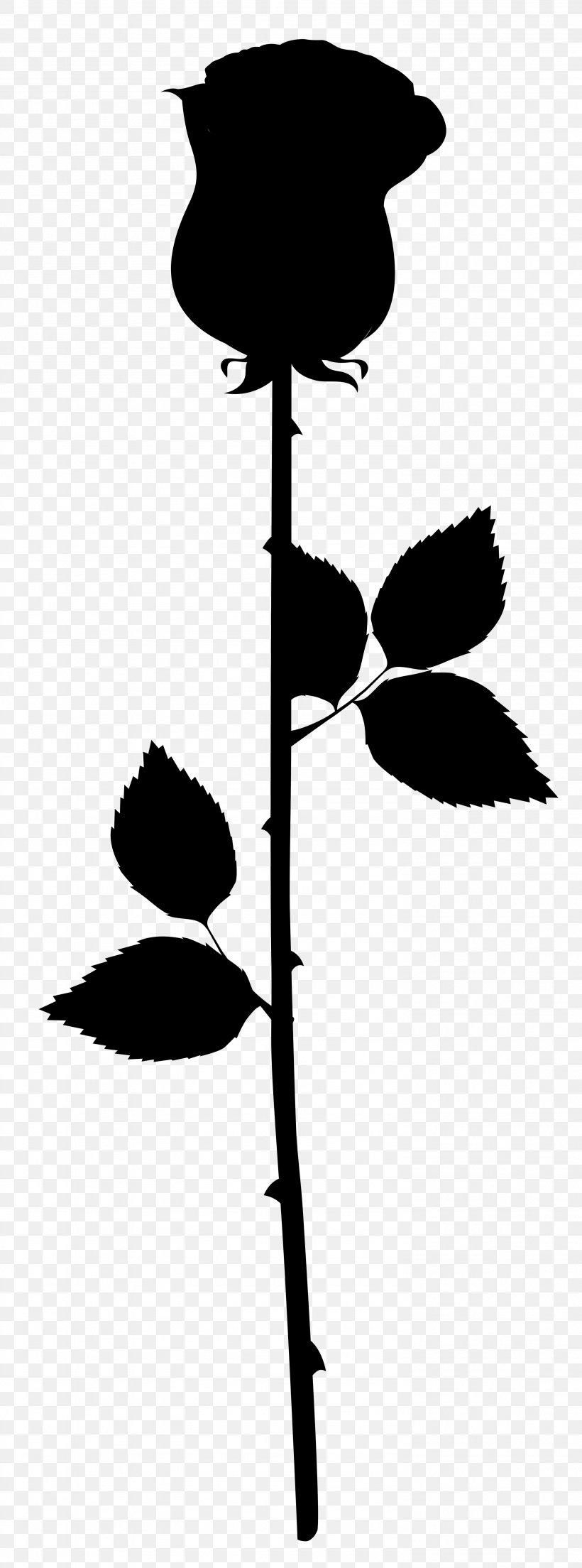 Flower Plant Stem Leaf Clip Art Line, PNG, 2971x8000px, Flower, Art, Black M, Botany, Flowering Plant Download Free