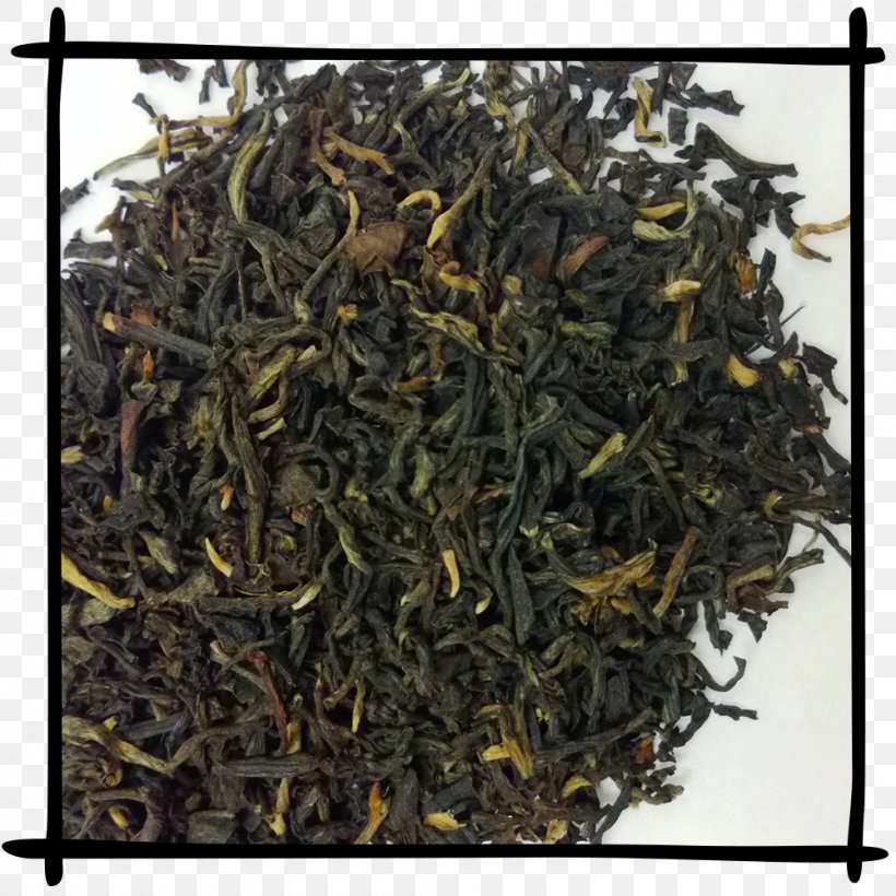 Lapsang Souchong Nilgiri Tea Darjeeling Tea Earl Grey Tea, PNG, 1000x1000px, Lapsang Souchong, Assam Tea, Bai Mudan, Baihao Yinzhen, Bancha Download Free