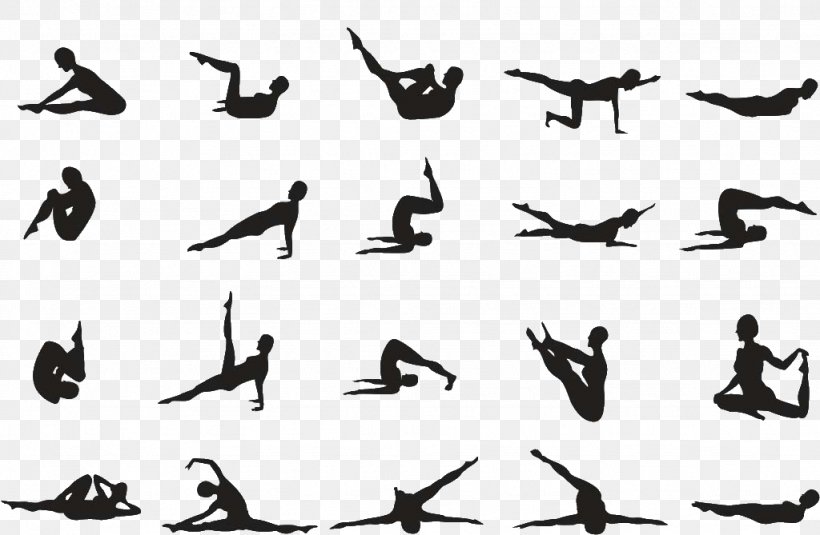 Pilates Exercise Yoga Asana Posture, PNG, 1024x669px, Pilates, Animal Migration, Asana, Beak, Bird Download Free