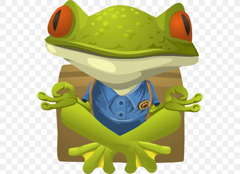 Frog Clip Art, PNG, 564x593px, Frog, Amphibian, Art, Green, Kids Yoga Download Free