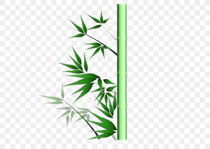 Leaf Green Plant Grass Bamboo, PNG, 1280x907px, Leaf, Bamboo, Grass, Green, Hemp Family Download Free