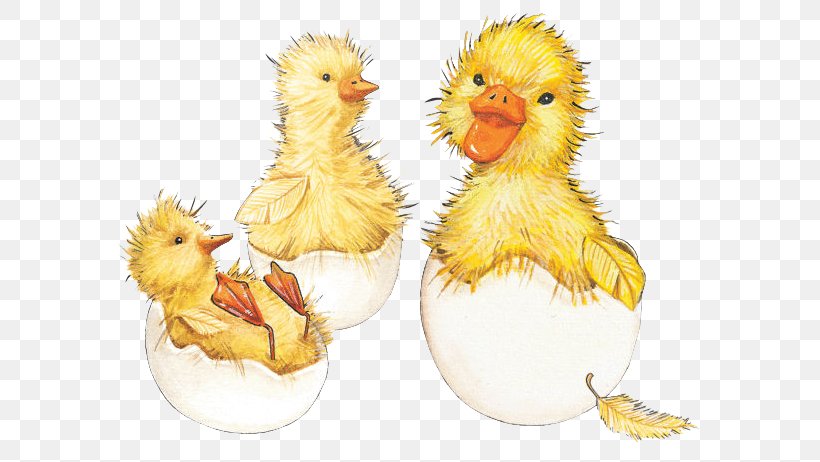 Paper Easter Bunny Chicken Duck, PNG, 600x462px, Paper, Beak, Bird, Chicken, Duck Download Free
