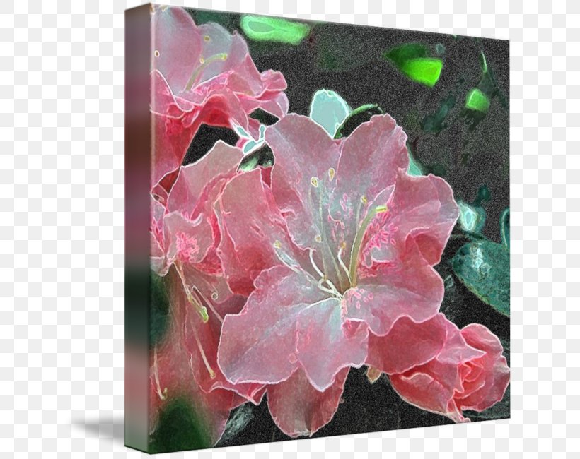 Azalea Gallery Wrap Canvas Art Printing, PNG, 639x650px, Azalea, Art, Canvas, Flower, Flowering Plant Download Free