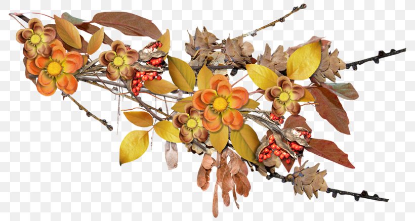 Autumn Leaf Plant Branch Season, PNG, 800x437px, Autumn, Branch, Cut Flowers, Flora, Floral Design Download Free