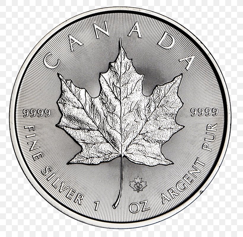 Coin Silver Leaf, PNG, 800x800px, Coin, Black And White, Currency, Leaf, Money Download Free