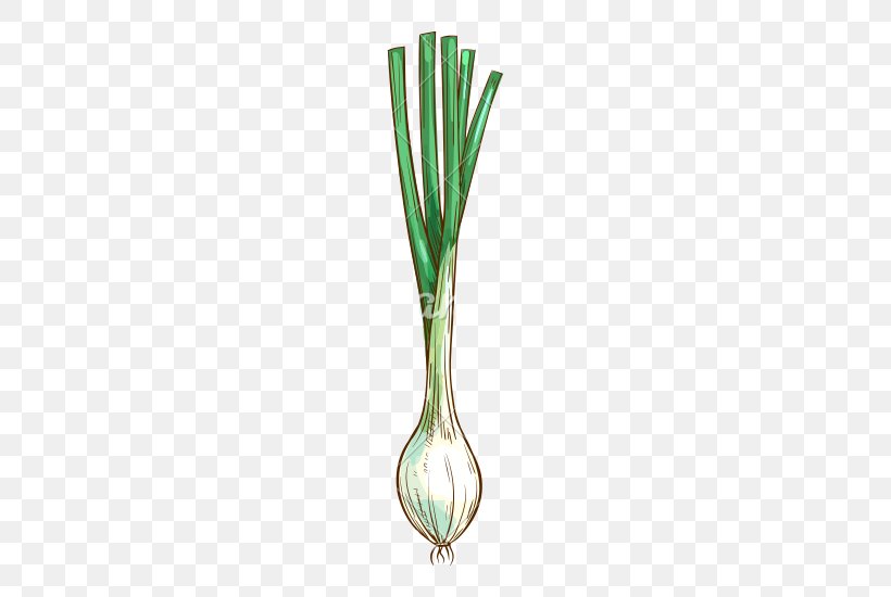 Onion Allium Fistulosum Plant Scallion, PNG, 550x550px, Onion, Allium, Allium Fistulosum, Cutlery, Leaf Download Free