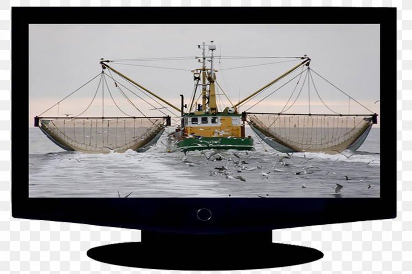 High-definition Television Computer Monitor Display Device, PNG, 1250x833px, 3d Television, Television, Color Television, Computer Monitor, Display Device Download Free