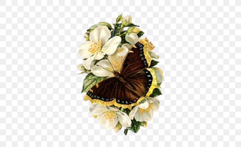 Best Borders Flower Clip Art, PNG, 500x500px, Best Borders, Art, Artificial Flower, Blog, Butterfly Download Free