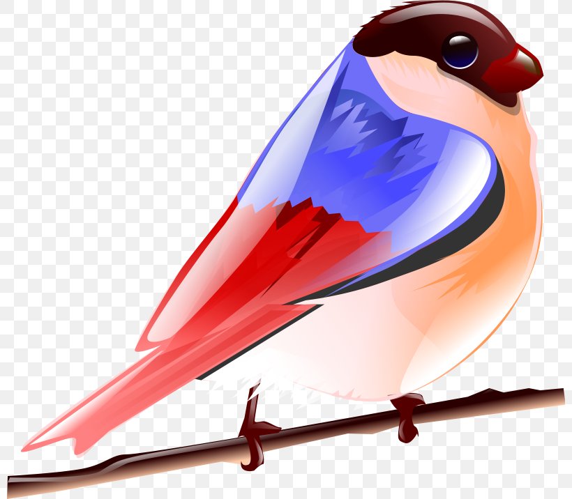 Bird Sparrow Owl Sound Android, PNG, 800x716px, Bird, Android, Beak, Bird Sounds, Bird Vocalization Download Free