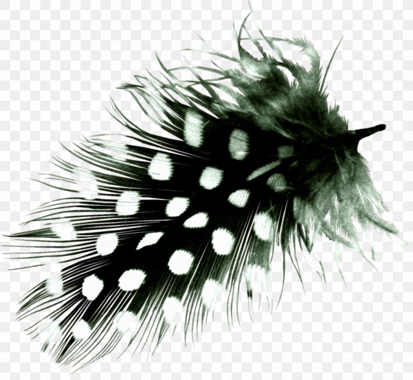 Feather Bird Hair, PNG, 1178x1085px, Feather, Bird, Black And White, Crystal, Drawing Download Free