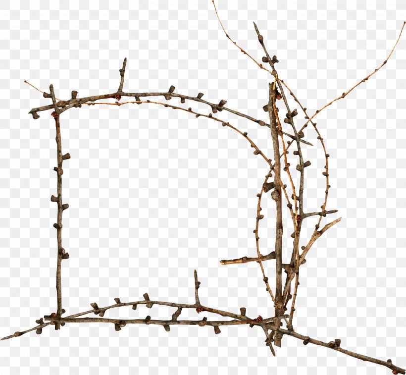Fence Barbed Wire Twig Tree Plant Stem, PNG, 2852x2635px, Fence, Area, Barbed Wire, Branch, Branching Download Free