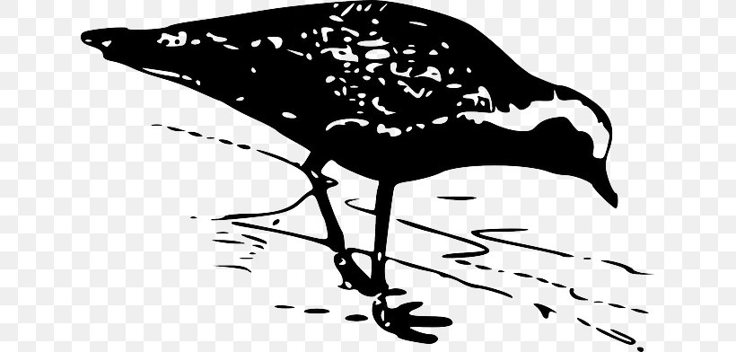 Golden Retriever Bird Labrador Retriever Plover Clip Art, PNG, 640x392px, Golden Retriever, American Golden Plover, Art, Beak, Bird Download Free