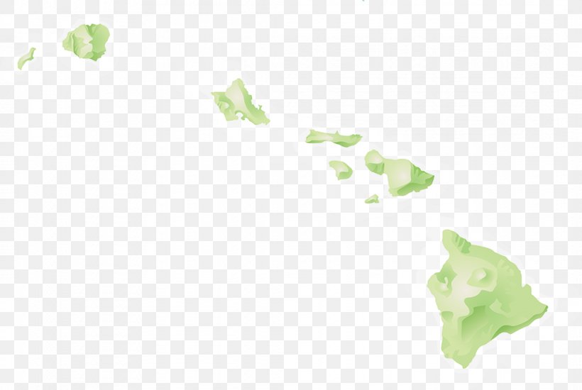 Hilo Lanai Oahu Kalawao County, Hawaii, PNG, 1065x715px, Hilo, Green, Hawaii, Hawaii County Hawaii, Hawaii Visitors Convention Bureau Download Free