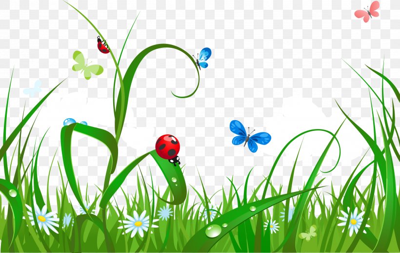 Royalty-free Illustration, PNG, 2577x1631px, Royaltyfree, Flora, Flower, Grass, Grass Family Download Free