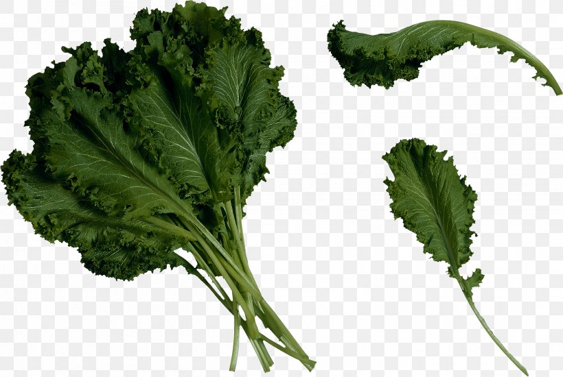 Saag Brassica Juncea Mustard Marrow-stem Kale Food, PNG, 2506x1681px, Juice, Brassica Juncea, Chinese Cabbage, Collard Greens, Food Download Free
