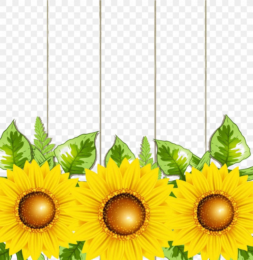 Transvaal Daisy Common Sunflower Illustration, PNG, 970x1000px, Transvaal Daisy, Common Sunflower, Cut Flowers, Daisy Family, Floral Design Download Free
