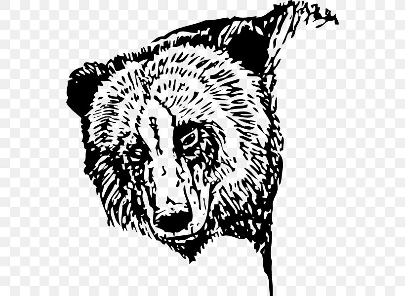 American Black Bear Brown Bear Clip Art, PNG, 552x600px, American Black Bear, Bear, Big Cats, Black, Black And White Download Free