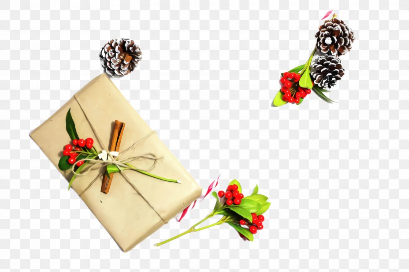 Christmas Day, PNG, 2448x1632px, Christmas Day, Christmas Decoration, Christmas Tree, Conifer Cone, Flower Download Free
