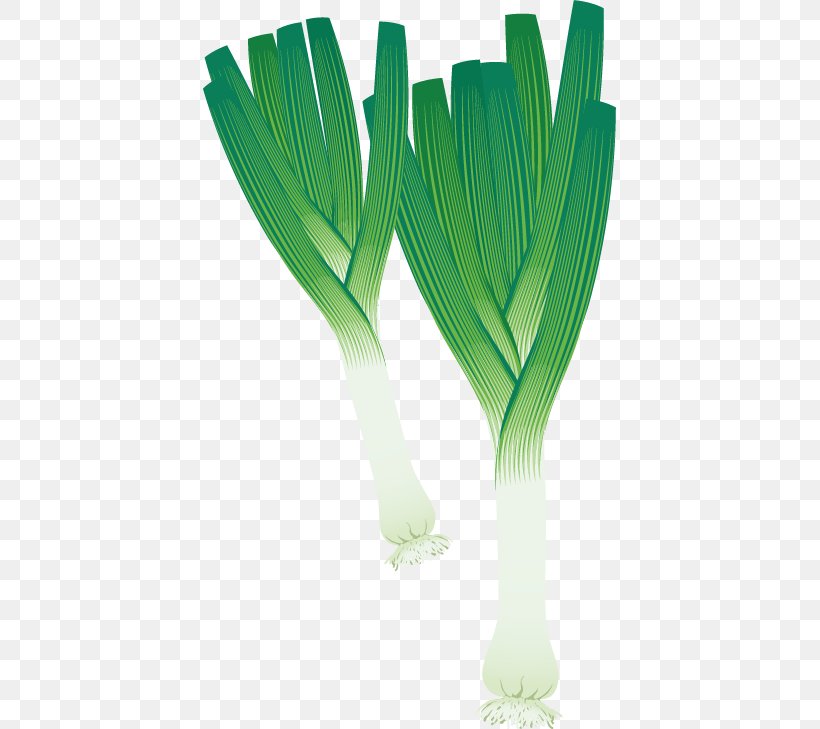 Leek Vegetable Potato Onion Clip Art, PNG, 413x729px, Leek, Allium Fistulosum, Food, Free Content, Grass Download Free