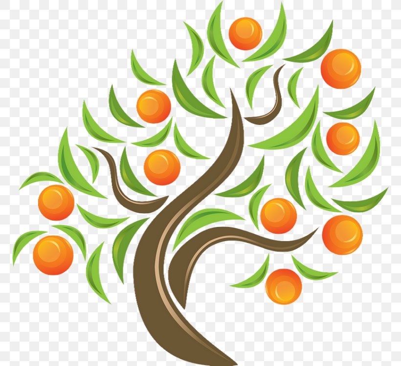 Orange Juice Tangerine Clip Art, PNG, 770x750px, Orange, Artwork, Branch, Citrus, Domain Name Download Free