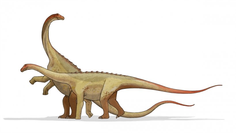 Saltasaurus Argentina Late Cretaceous Maastrichtian Sauropoda, PNG, 1200x675px, Saltasaurus, Animal Figure, Argentina, Armour, Cretaceous Download Free