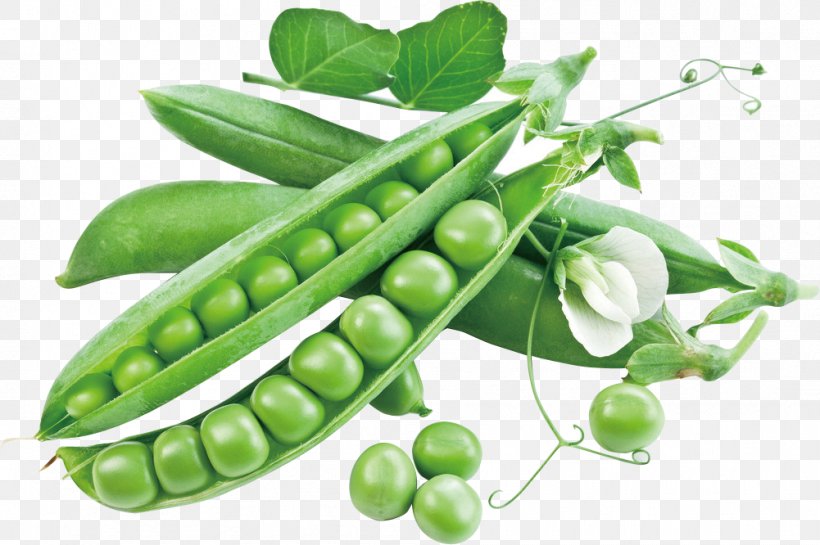 Snow Pea Vegetable Snap Pea Sweet Pea Food, PNG, 1001x666px, Snow Pea, Food, Fruit, Green Bean, Heirloom Plant Download Free