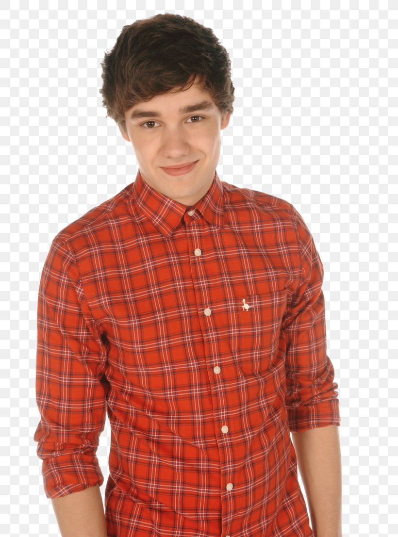 Liam Payne Wolverhampton One Direction More Than This, PNG, 721x1107px, Watercolor, Cartoon, Flower, Frame, Heart Download Free