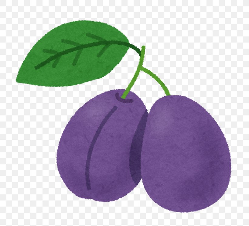 Prune Fruit Prunus Salicina Food Constipation, PNG, 744x744px, Prune, Common Plum, Constipation, Dietary Fiber, Eating Download Free