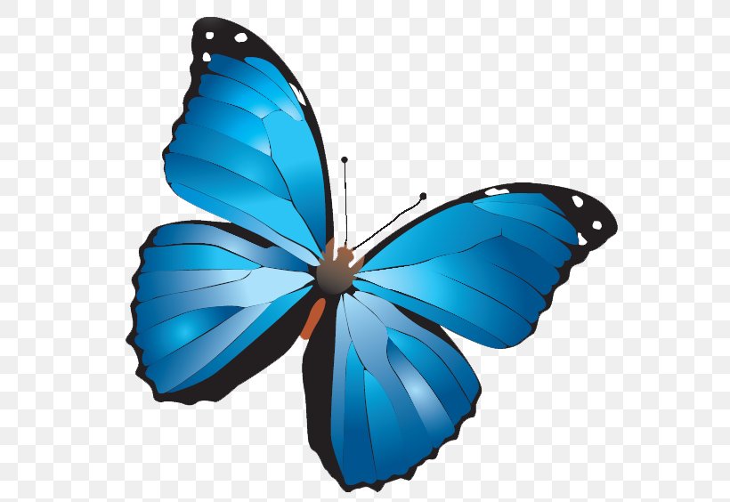 Turkey Butterfly Online Chat Kelebek Mobilya Sanayi Ve Ticaret AS Conversation, PNG, 657x564px, Turkey, Brush Footed Butterfly, Butterflies, Butterfly, Caterpillar Download Free