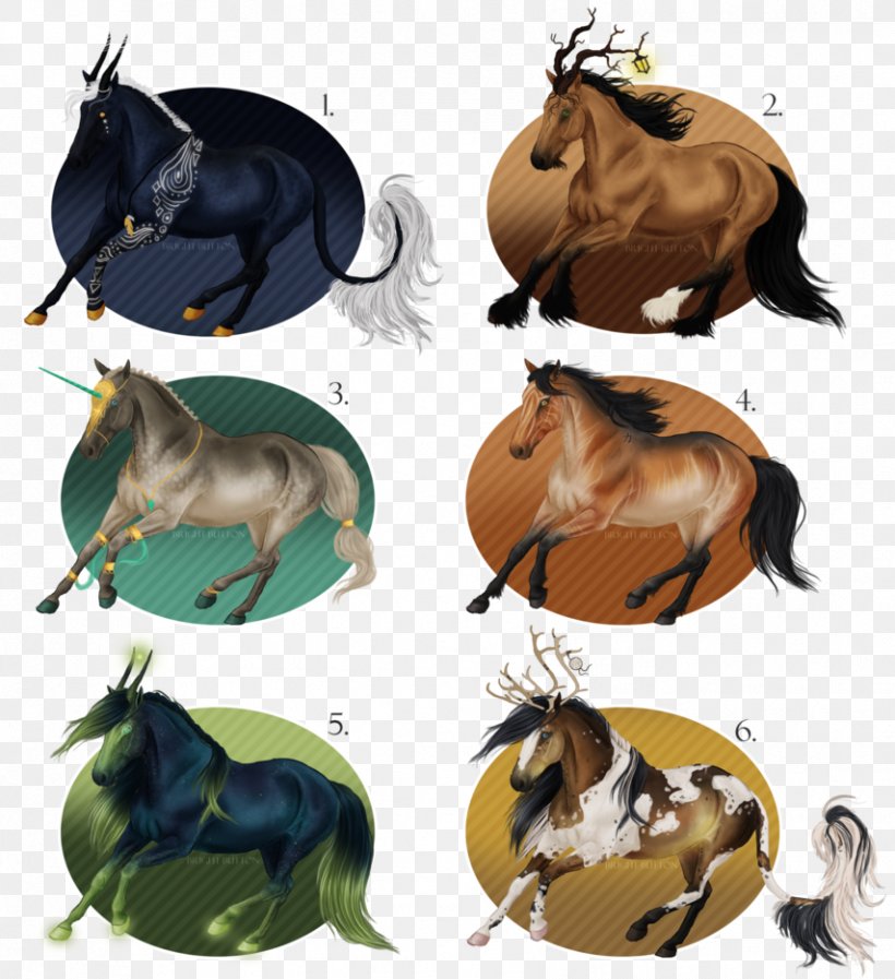 Mane Mustang Halter Pack Animal Rein, PNG, 854x935px, Mane, Fauna, Halter, Horse, Horse Like Mammal Download Free