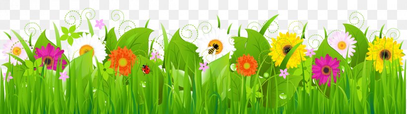 Stock Illustration Flower Clip Art, PNG, 2378x669px, Flower, Flowering Plant, Grass, Grass Family, Meadow Download Free