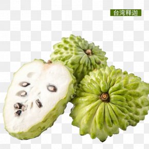 Soursop Images Soursop Transparent Png Free Download