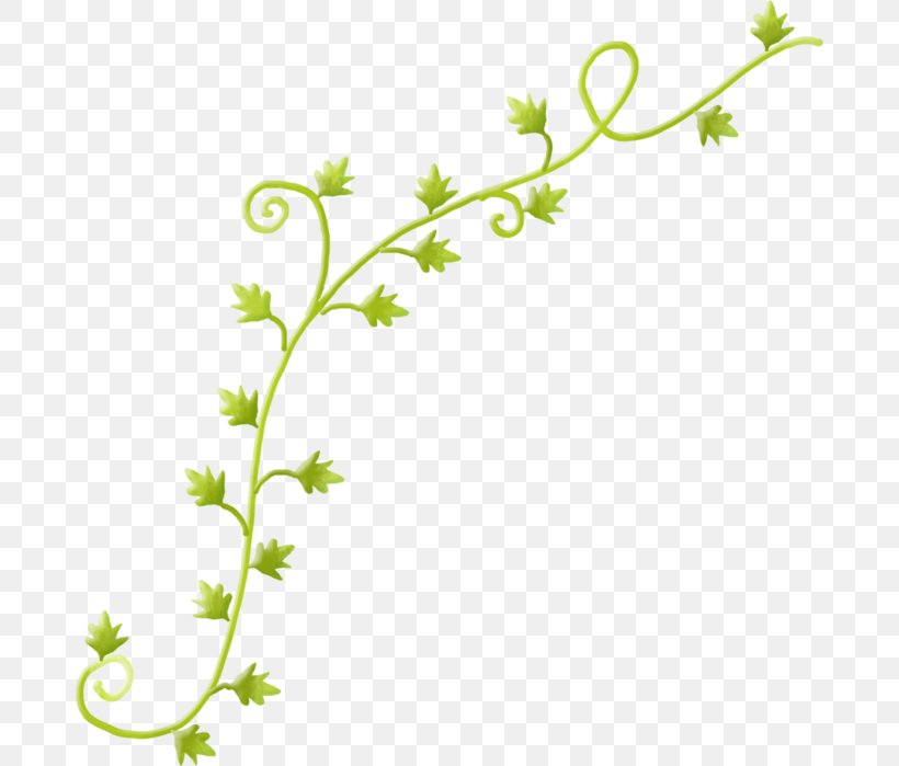 Vine Leaf Twig Plant, PNG, 682x699px, Vine, Branch, Flora, Flower, Flowering Plant Download Free