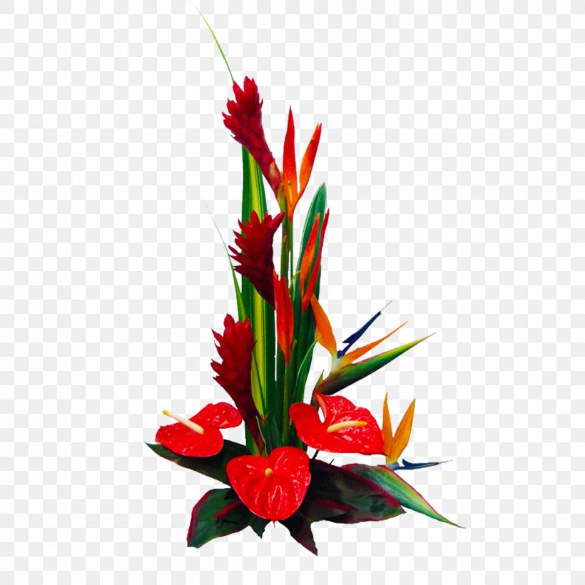 Hawaii Laceleaf Flower Bouquet Floristry, PNG, 1200x1200px, Hawaii, Arrangement, Artificial Flower, Color, Cut Flowers Download Free