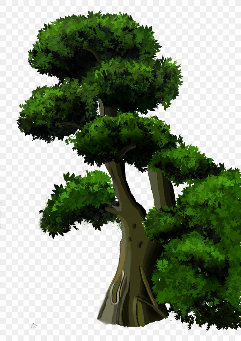 Tree Download, PNG, 2480x3507px, Tree, Biome, Bonsai, Evergreen, Flowerpot Download Free