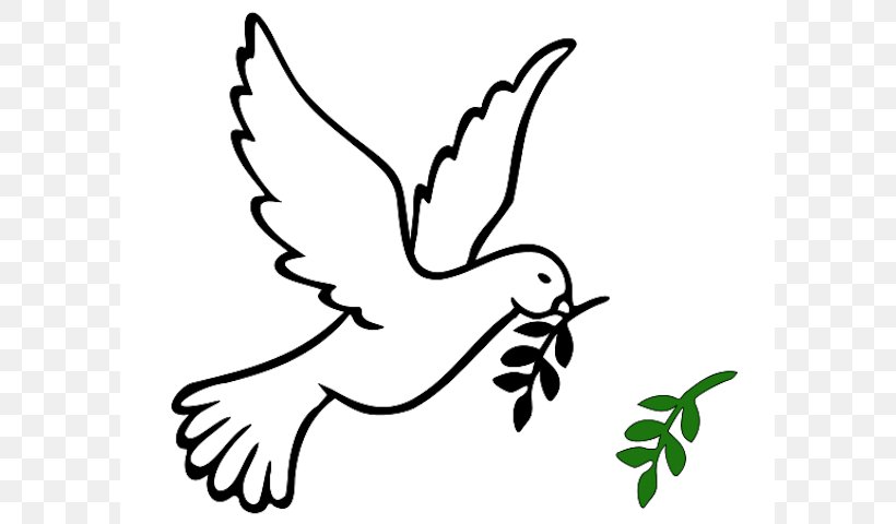 Columbidae Olive Branch Peace Symbols, PNG, 599x480px, Columbidae, Arm, Art, Artwork, Beak Download Free