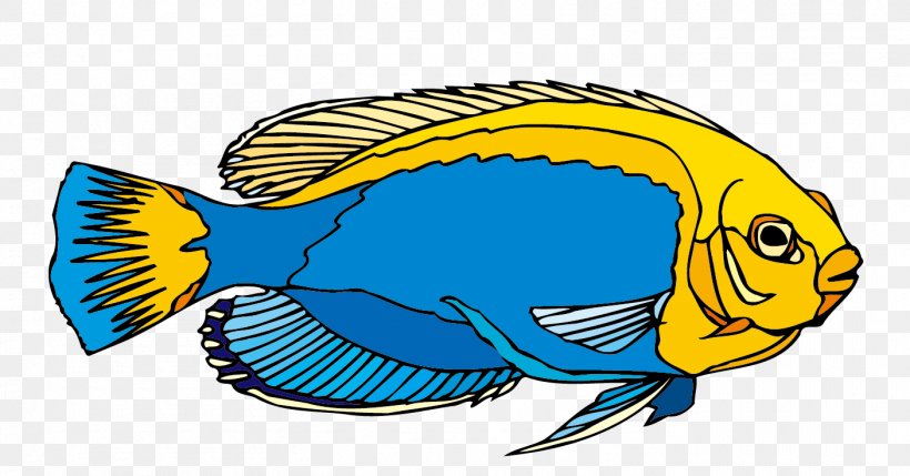 Freshwater Angelfish Ornamental Fish Clip Art, PNG, 1406x737px, Freshwater Angelfish, Angelfish, Beak, Cartoon, Electric Blue Download Free