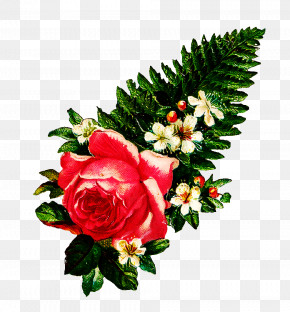 Garden Roses PNG