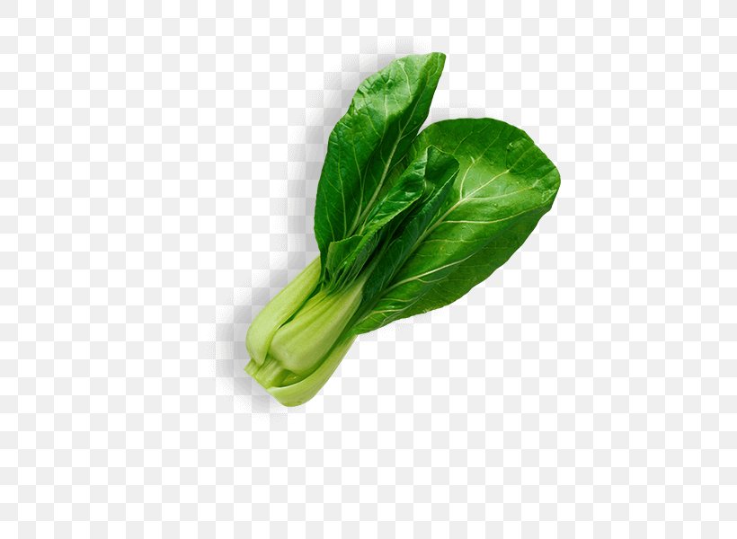Leaf Vegetable Salad Food, PNG, 600x600px, Vegetable, Brassica Oleracea, Brussels Sprout, Cabbage, Cauliflower Download Free