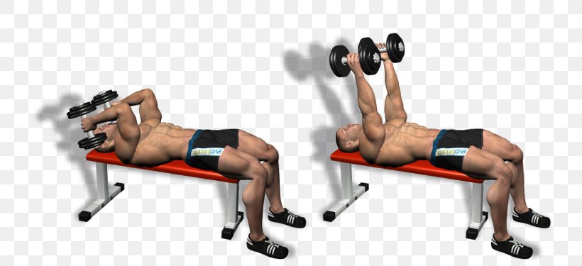 Physical Fitness Shoulder Bench Dumbbell Lying Triceps Extensions, PNG, 750x375px, Watercolor, Cartoon, Flower, Frame, Heart Download Free