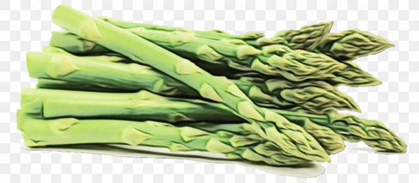 Asparagus Vegetable Plant Food Celtuce, PNG, 850x372px, Watercolor, Asparagus, Celtuce, Food, Leaf Vegetable Download Free